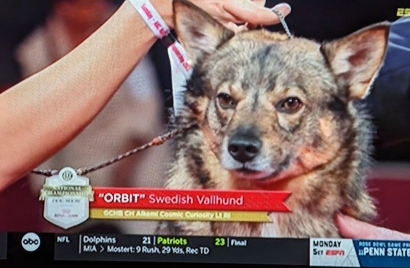 2023 01 01 Orbit TV